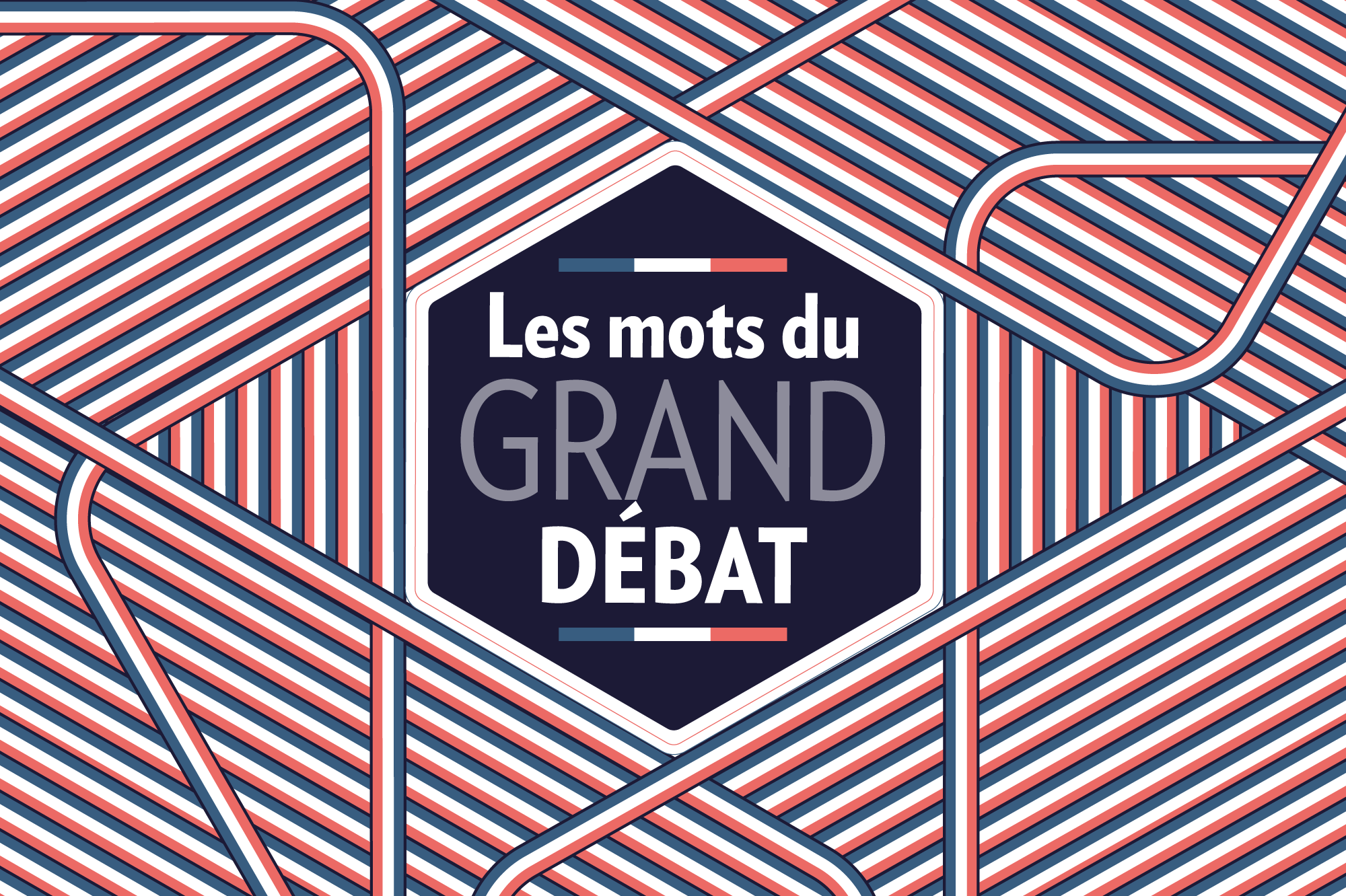 Grand Débat Ce Que Révèlent Les Contributions